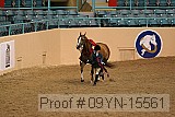 09yn-15561 proof