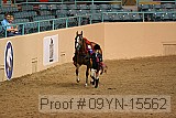 09yn-15562 proof