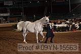 09yn-15563 proof