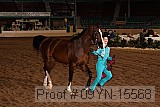 09yn-15568 proof