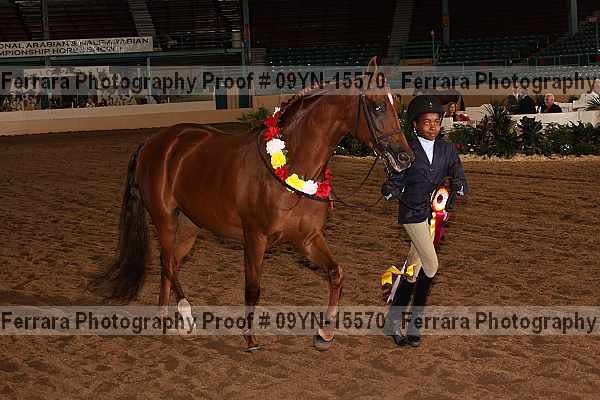 Proof 09yn-15570