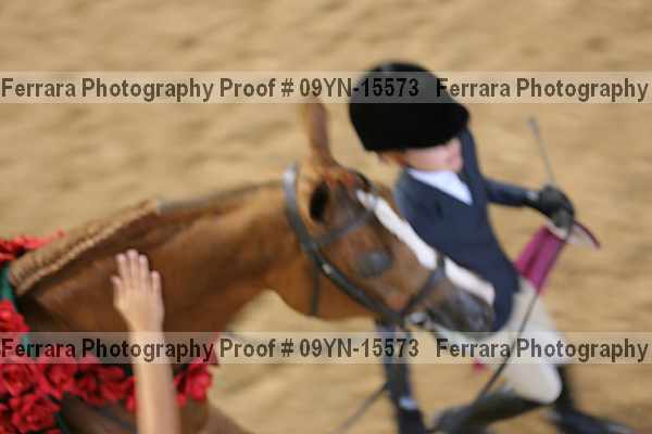 Proof 09yn-15573