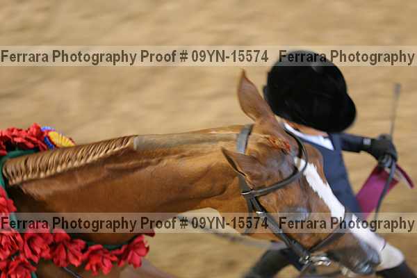 Proof 09yn-15574
