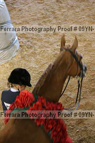 Proof 09yn-15575