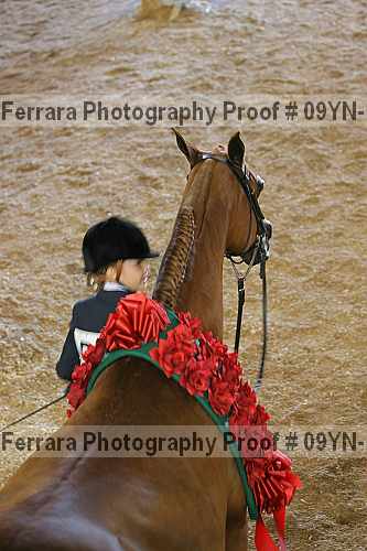 Proof 09yn-15576