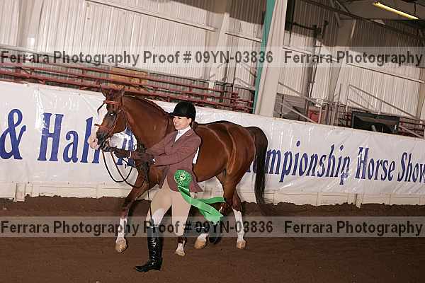 Proof 09yn-03836