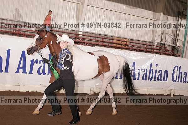 Proof 09yn-03842