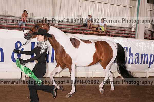 Proof 09yn-03862