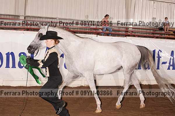 Proof 09yn-03866