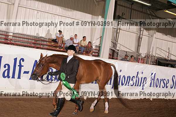 Proof 09yn-03991