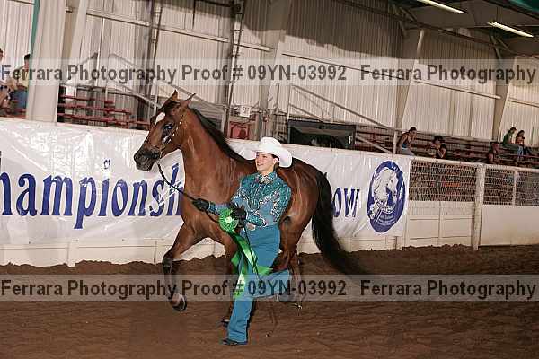 Proof 09yn-03992
