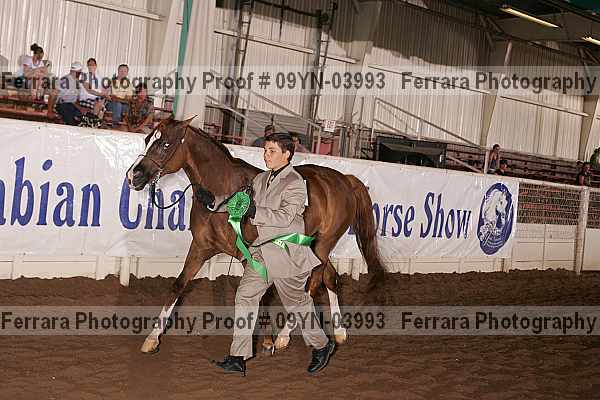 Proof 09yn-03993