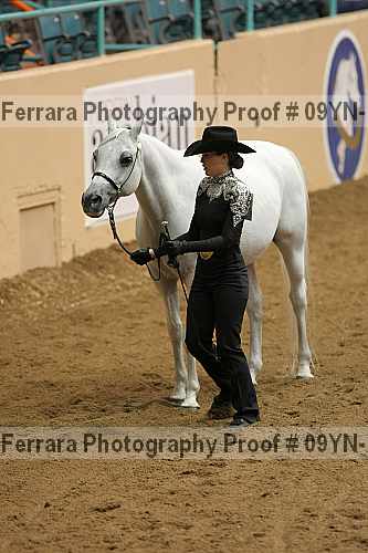 Proof 09yn-12972