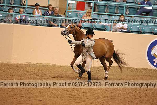 Proof 09yn-12973