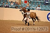 09yn-12973 proof