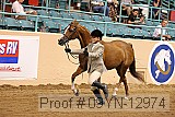 09yn-12974 proof