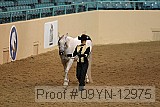 09yn-12975 proof