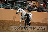 09yn-12992 proof