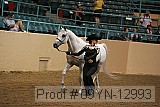 09yn-12993 proof