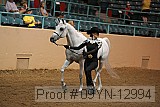 09yn-12994 proof