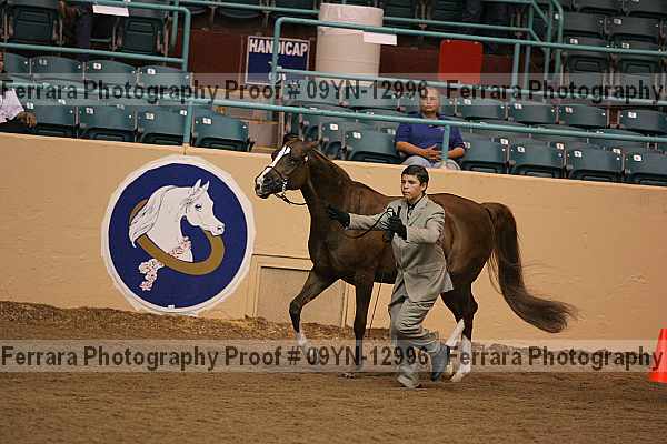 Proof 09yn-12996