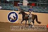 09yn-12996 proof