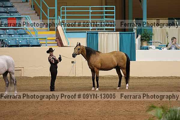 Proof 09yn-13005