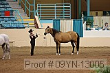 09yn-13005 proof