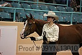 09yn-13010 proof
