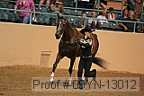 09yn-13012 proof
