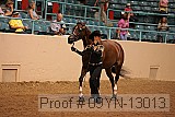 09yn-13013 proof