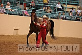 09yn-13017 proof