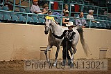 09yn-13021 proof