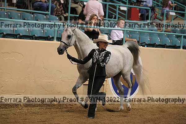 Proof 09yn-13022