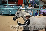09yn-13023 proof