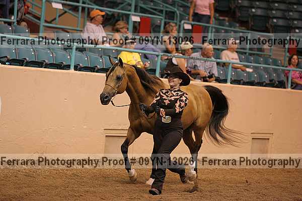 Proof 09yn-13026