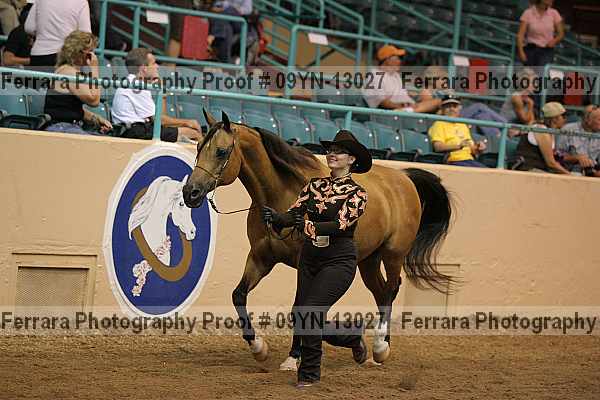 Proof 09yn-13027