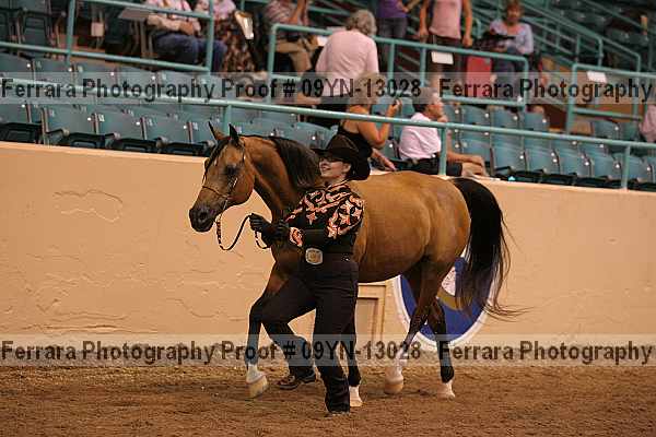Proof 09yn-13028