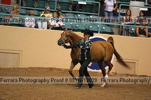 Proof 09yn-13029