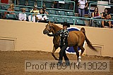 09yn-13029 proof