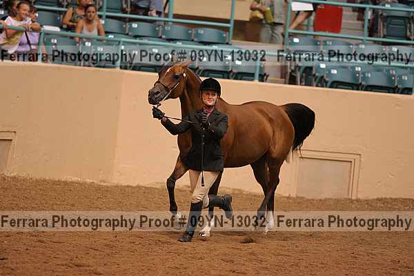 Proof 09yn-13032