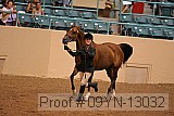 09yn-13032 proof