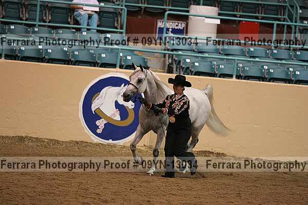 Proof 09yn-13034