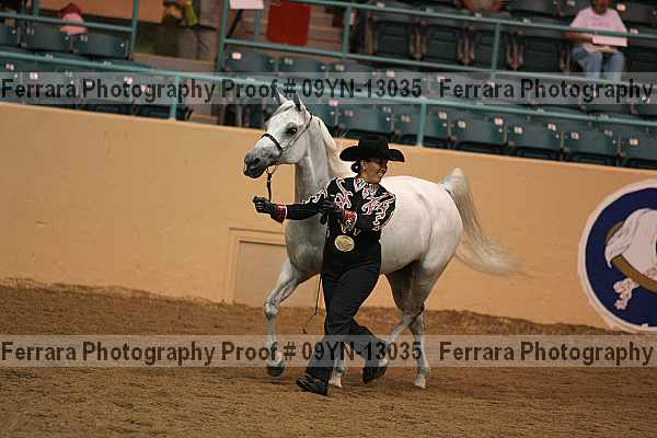 Proof 09yn-13035