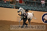 09yn-13035 proof