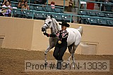 09yn-13036 proof