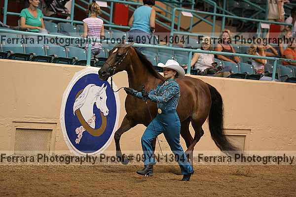 Proof 09yn-13041