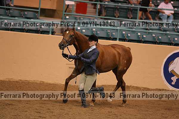 Proof 09yn-13043
