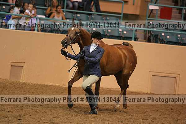 Proof 09yn-13044