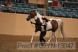 09yn-13047 proof